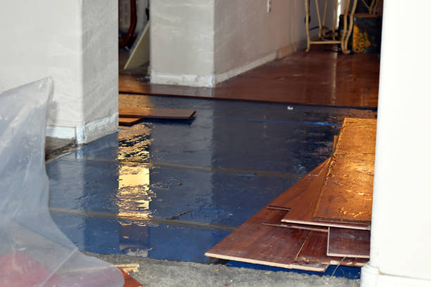 Professional Basement Water Removal technician working in East Kingston, NH